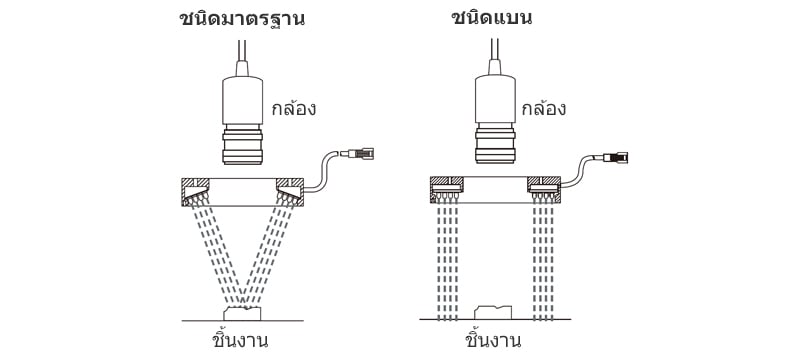 ชนิดมาตรฐาน / ชนิดแบน