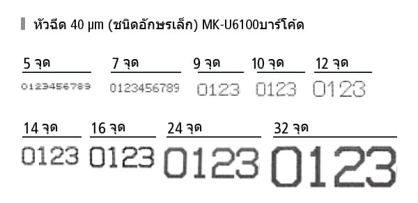 ตัวอย่างการพิมพ์