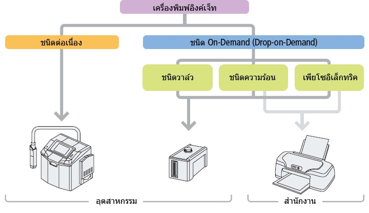 ประเภทพื้นฐาน