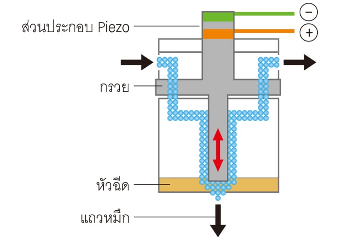 แคนนอน (ส่วนประกอบ Piezo และหัวฉีด)